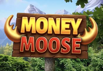 Money Moose